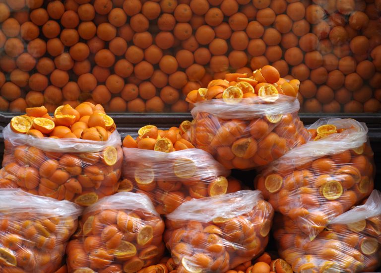 Fight against food waste