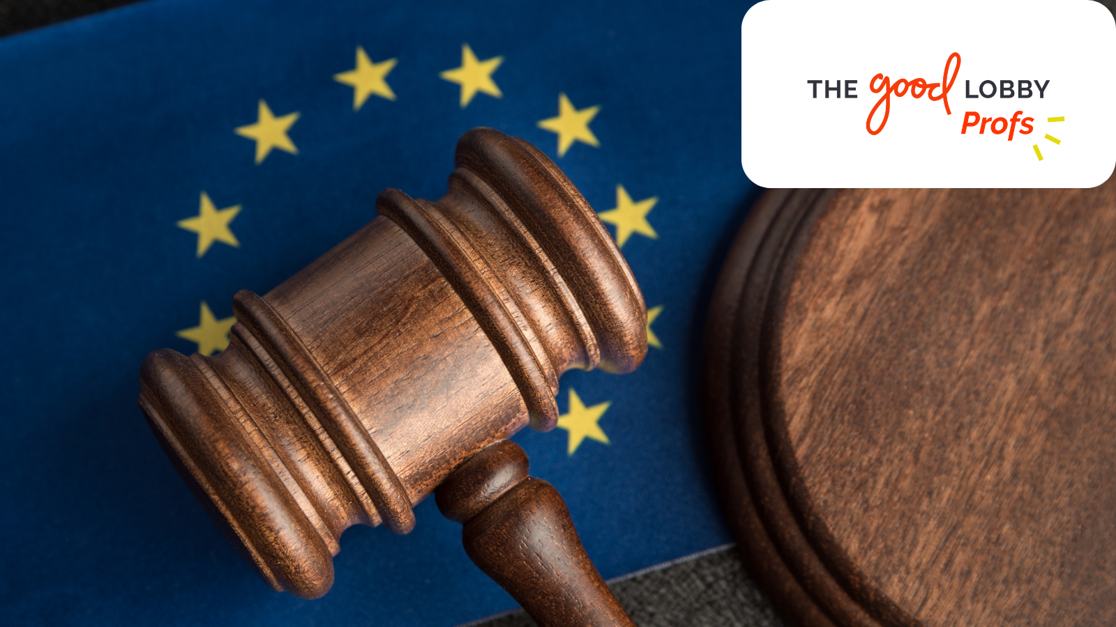The Good Lobby Profs Rally Behind Legal Challenge to EU Commission’s