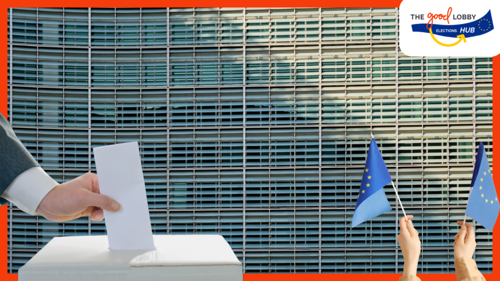 After the EU elections – Webinar | The Good Lobby