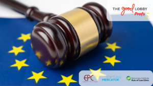 Shadow Rule of Law Report